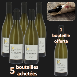 Pack Pouilly-Fumé IGP Sauvignon Loire Foire aux Vins Printemps