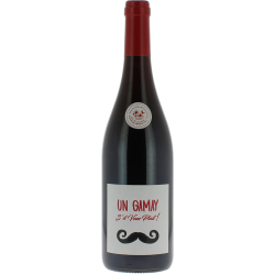 Beaujolais Villages Moustache Gelin Rouge 2020