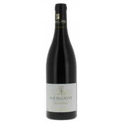 Bourgogne Pinot Noir Fichet...